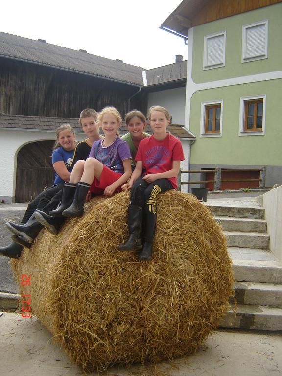 Biohof Stockinger Villa Kirchbach  Buitenkant foto